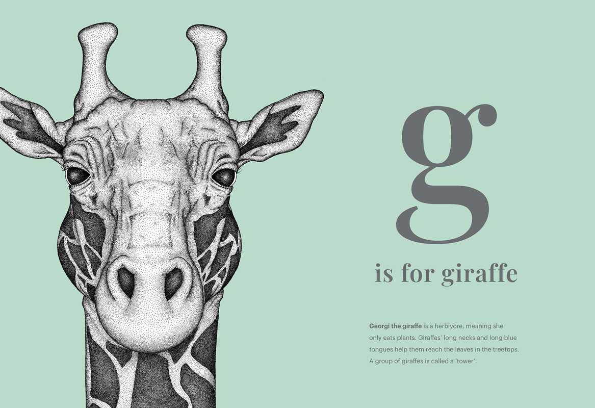 Animal Alphabet by