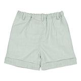 Adam Short - Mint Linen