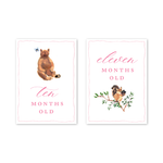 Woodland Pink Milestone Cards: Baby Milestone Cards - Set of 15