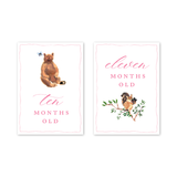 Woodland Pink Milestone Cards: Baby Milestone Cards - Set of 15