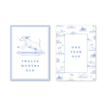 Snips and Snails Baby Milestone Cards: Milestone Cards - Set of 15
