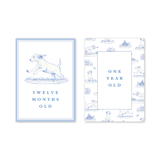 Snips and Snails Baby Milestone Cards: Milestone Cards - Set of 15