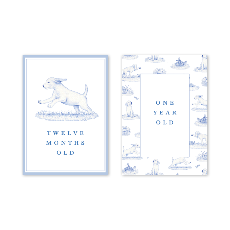 Snips and Snails Baby Milestone Cards: Milestone Cards - Set of 15