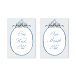 Joie Baby Milestone Cards