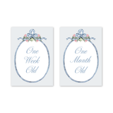 Joie Baby Milestone Cards