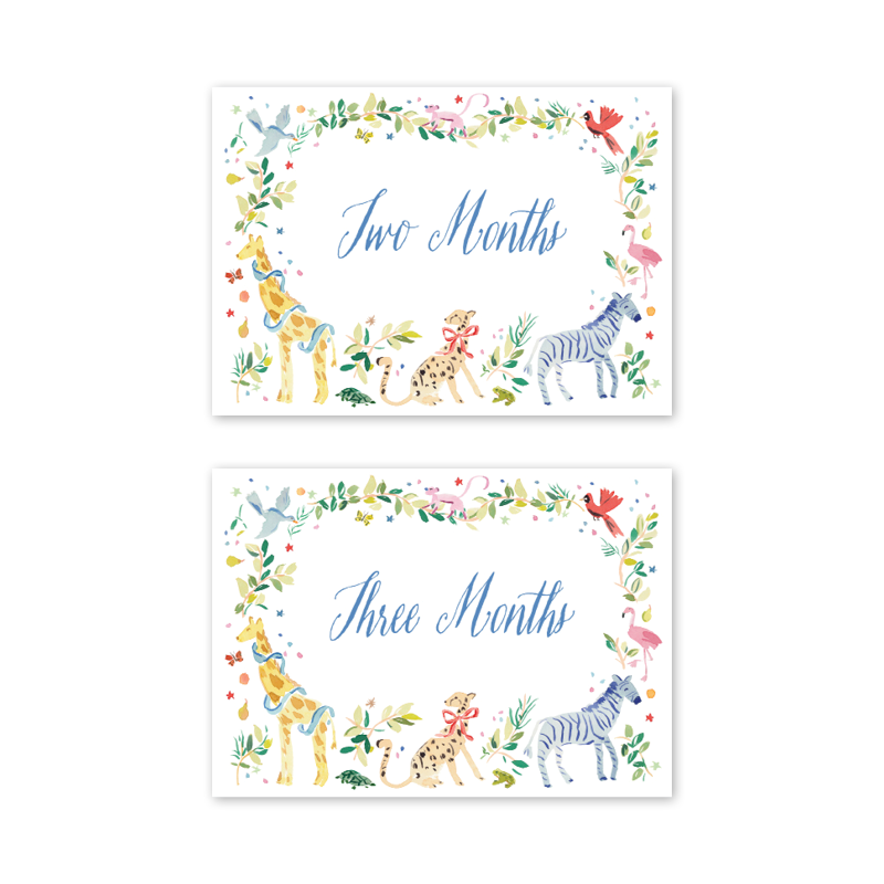 Animal Fete Baby Milestone Cards