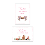 Woodland Pink Milestone Cards: Baby Milestone Cards - Set of 15