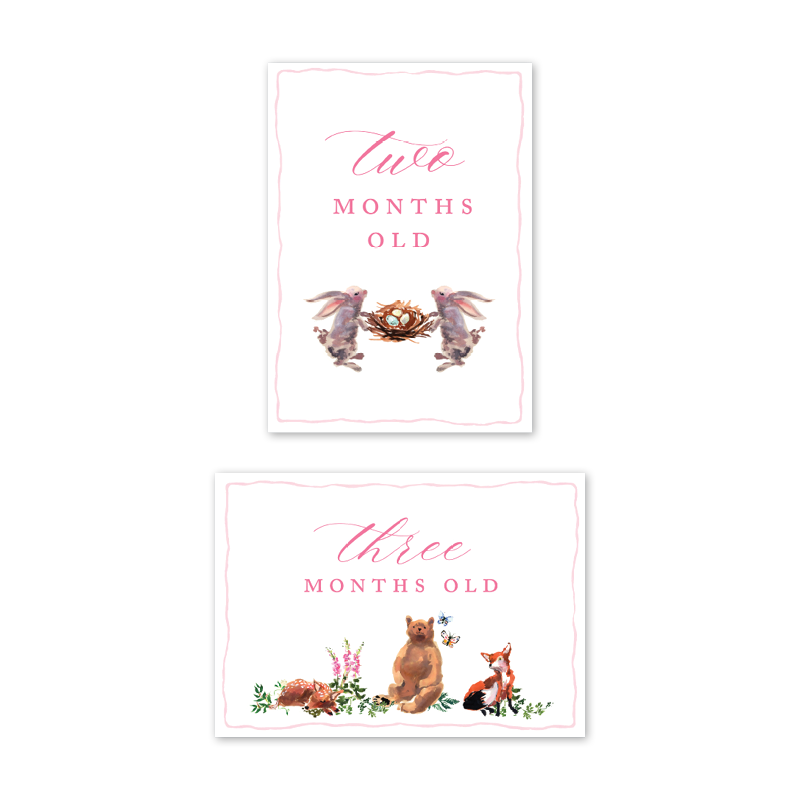 Woodland Pink Milestone Cards: Baby Milestone Cards - Set of 15