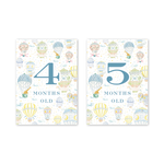 Balloon Festival Baby Milestone Cards