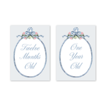 Joie Baby Milestone Cards