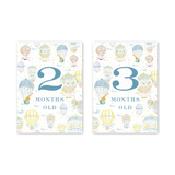Balloon Festival Baby Milestone Cards