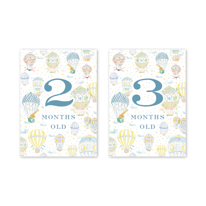 Balloon Festival Baby Milestone Cards