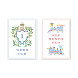 Joys of Boys: Milestone Cards - Set of 15