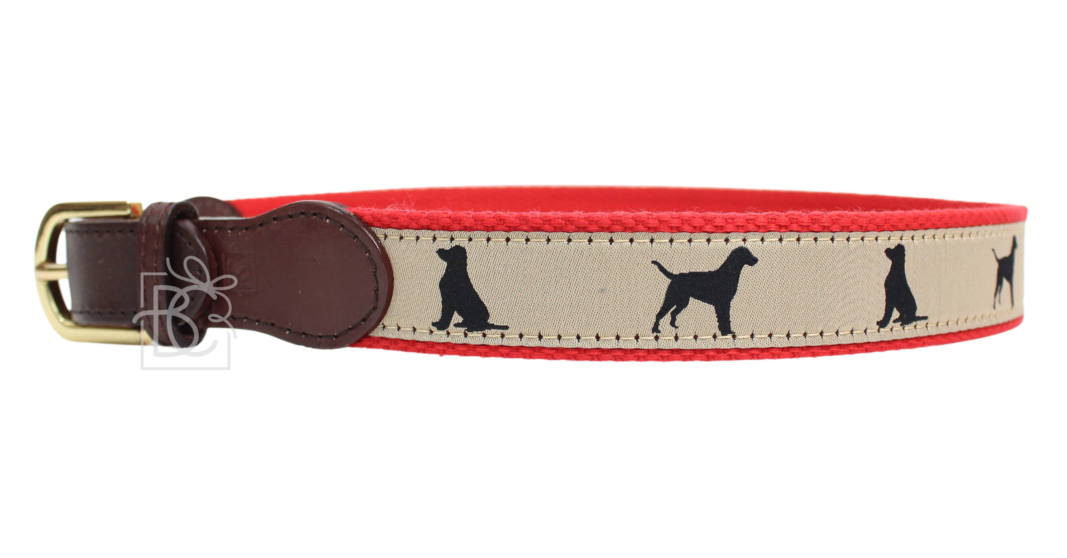 DOG RIBBON BELTS: 20" (3-4 Years) / Dog (Millennium Blue/ Brown)