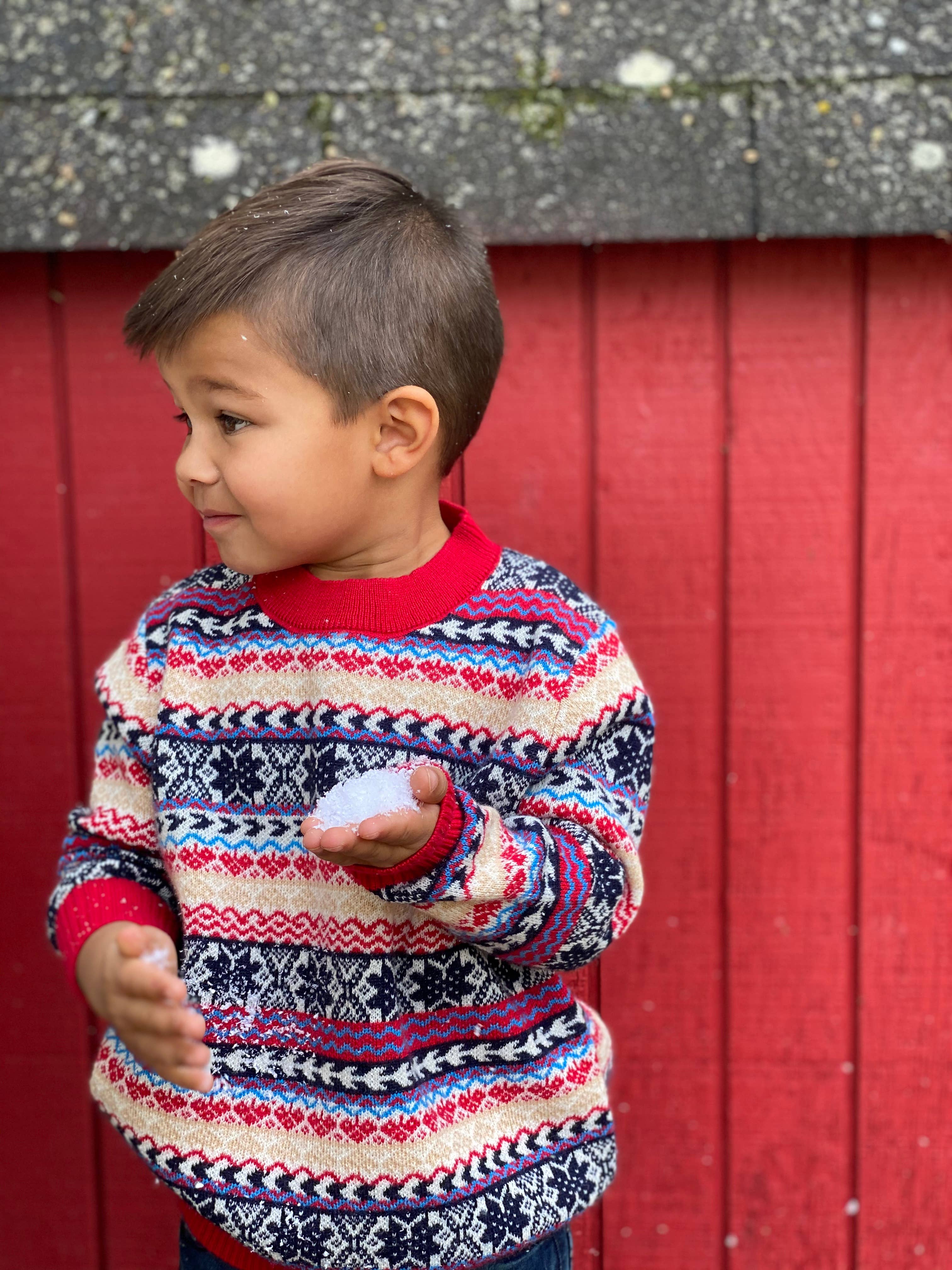 Winter Argyle Sweater