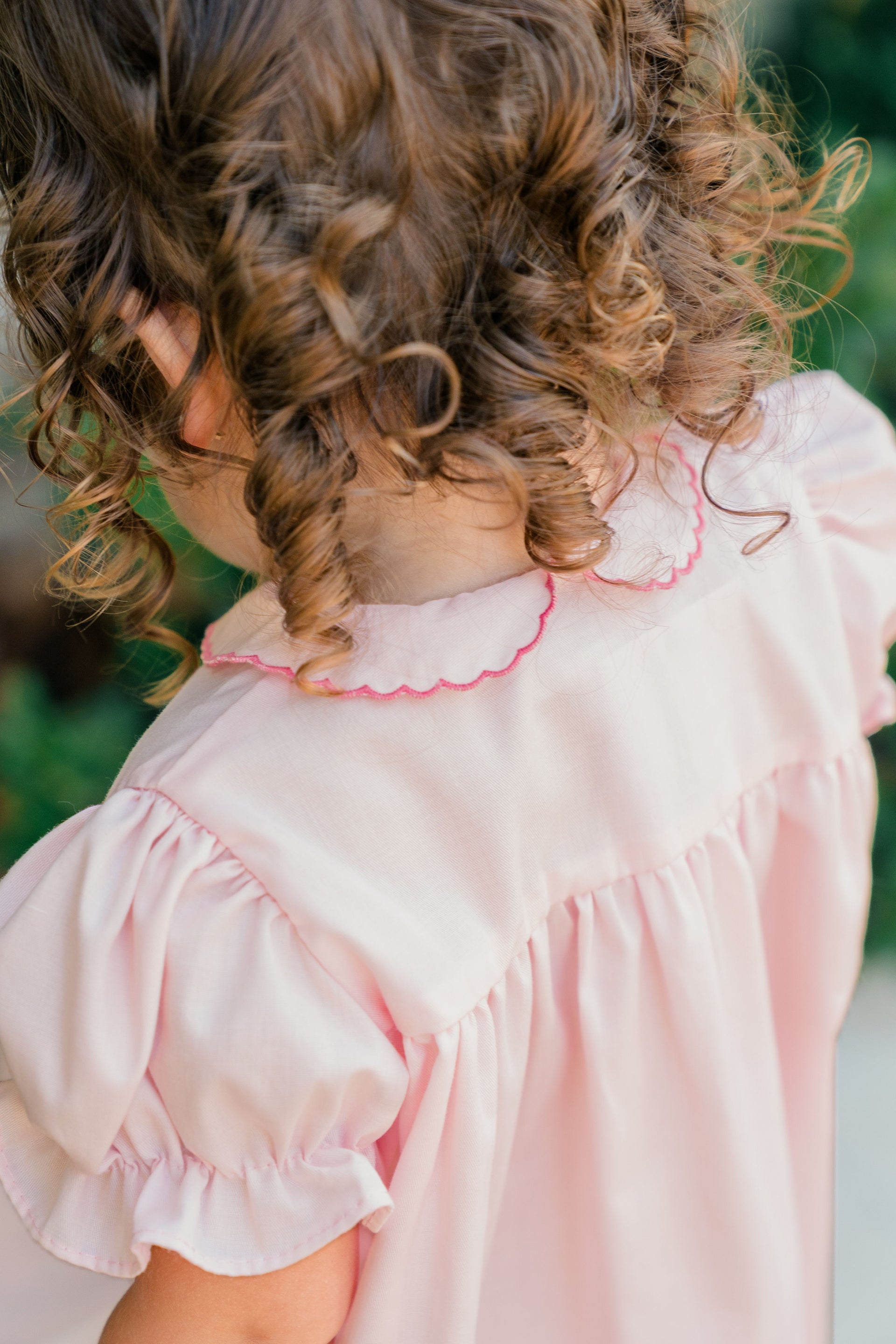 Begonia Ingrid Girl Bubble
